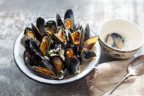 Close-up shot of Mussels cooked in white wine - foto de stock