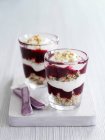 Blueberry compote with cereals and yoghurt layered dessert — Stock Photo