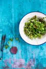 Salad with arugula, green leaves and a sprig of fresh parsley on a blue background. top view. — Stock Photo