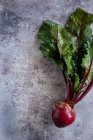 A beetroot on a concrete surface — Stock Photo