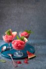 Granita de melancia com melancia fresca e hortelã em óculos — Fotografia de Stock