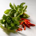 Fresh chili peppers, basil and mint — Stock Photo