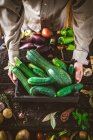 Mani contadine con zucchine biologiche appena raccolte — Foto stock