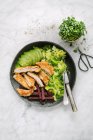 Escalope viennese con polenta rossa, avocado e insalata con germogli di ravanello — Foto stock