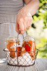 Peperoni sottaceto con peperoncino, rosmarino, aglio e pepe nero in barattoli di vetro — Foto stock