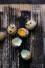 Натюрморт перепелиных яиц на окрашенной поверхности картона — стоковое фото