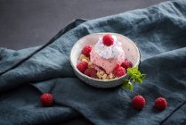 Raspberry ice cream with soy buttercream and coconut brittle — Stock Photo