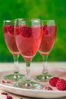 Роза и малиновый шнапс в элегантных стаканах с ягодами — стоковое фото