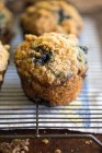 Tiro close-up de deliciosos muffins de mirtilo em um rack de arame — Fotografia de Stock