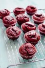 Cupcakes de terciopelo rojo en rack de alambre - foto de stock