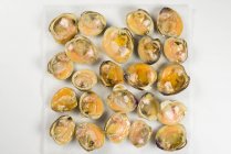 Fresh clams, halved, closeup shot — Stock Photo