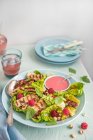Жареный салат галлюминий с салатом из драгоценных камней, малиновым соусом, свежей малиной, фундуком и мятой вербены — стоковое фото