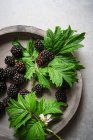 Fresh blackberries with green leaves on concrete plate — Stock Photo