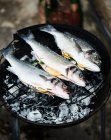 Pescado fresco en una barbacoa, decorado con limón y romero - foto de stock