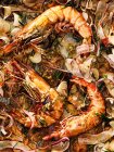 Crevettes tigrées cuites au four au radis, romarin et fruits de la passion — Photo de stock