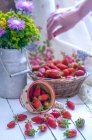 Erdbeeren im Korb und verschüttet aus Tasse mit Hand auf Hintergrund — Stockfoto