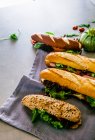 Plan rapproché de délicieux quatre sandwichs baguette différents — Photo de stock