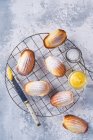 Madeleines with lemon curd and icing sugar - foto de stock