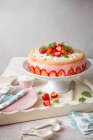 Gâteau à la mousse de fraise et éponge génoise aux fraises fraîches — Photo de stock