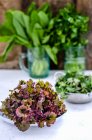 Bols de feuilles de salade et tasses en verre avec des feuilles sur le fond — Photo de stock