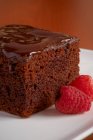 Un morceau de gâteau au chocolat végétalien (gros plan) — Photo de stock