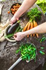 Freshly harvested vegetables: aubergines, tomatoes, carrots and rocket — Stock Photo