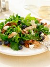 Blueberry and chicken salad with arugula leaves — Stock Photo