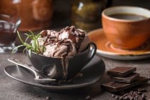 Шоколадные шарики с мороженым в миске — стоковое фото