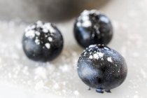 Fresh blueberries with powdered sugar, close up — Stock Photo