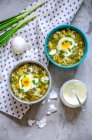 Spinach soup with boiled eggs and sour cream — Stock Photo