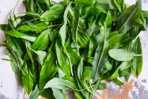 Frische grüne Spinatblätter auf weißem Hintergrund — Stockfoto