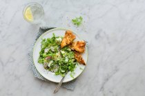 Венский телячий эскалоп с травой и картофельным салатом — стоковое фото