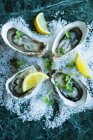 Fresh oysters with lemon on salt — Stock Photo