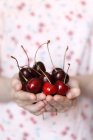 Girl's hands holding fresh cherries — Stock Photo