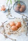 Яйца на сене с ивовыми ветвями и в проволочной корзине — стоковое фото