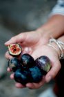 Mains femelles tenant des figues rouges fraîches — Photo de stock