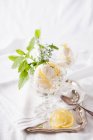 Glace au yaourt avec caillé de citron — Photo de stock