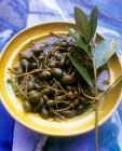 Pickled capers with sprig of bay — Stock Photo