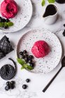 Морозиво з чорною смородиною на білих десертних тарілках — стокове фото