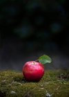 Roter Apfel auf dunklem Hintergrund — Stockfoto
