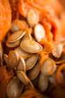 Багато свіжих насіння гарбуза (закрити ) — стокове фото