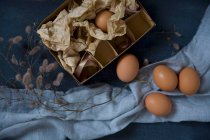 Papierschachtel mit Eiern auf blauem Tuch und flauschigem Zweig — Stockfoto
