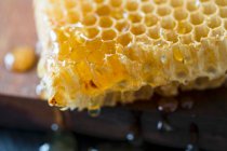 Peigne de miel sur le nid d'abeille — Photo de stock