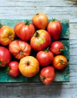 Récolte de tomates sur boîte en bois — Photo de stock