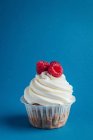 Vanilla cupcake with whipped cream and raspberries — Stock Photo