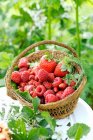 Fresh raspberries, strawberries and wild strawberries in small basket — Stock Photo