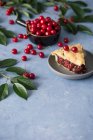 Close-up shot of delicious slice of chocolate and cherry pie — Stock Photo