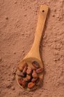 Fagioli di cacao su un cucchiaio di legno in polvere di cacao — Foto stock