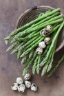 Espargos verdes e ovos de codorniz — Fotografia de Stock