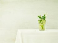 Nahaufnahme eines köstlichen Teeglases mit Limetten und frischer Minze — Stockfoto